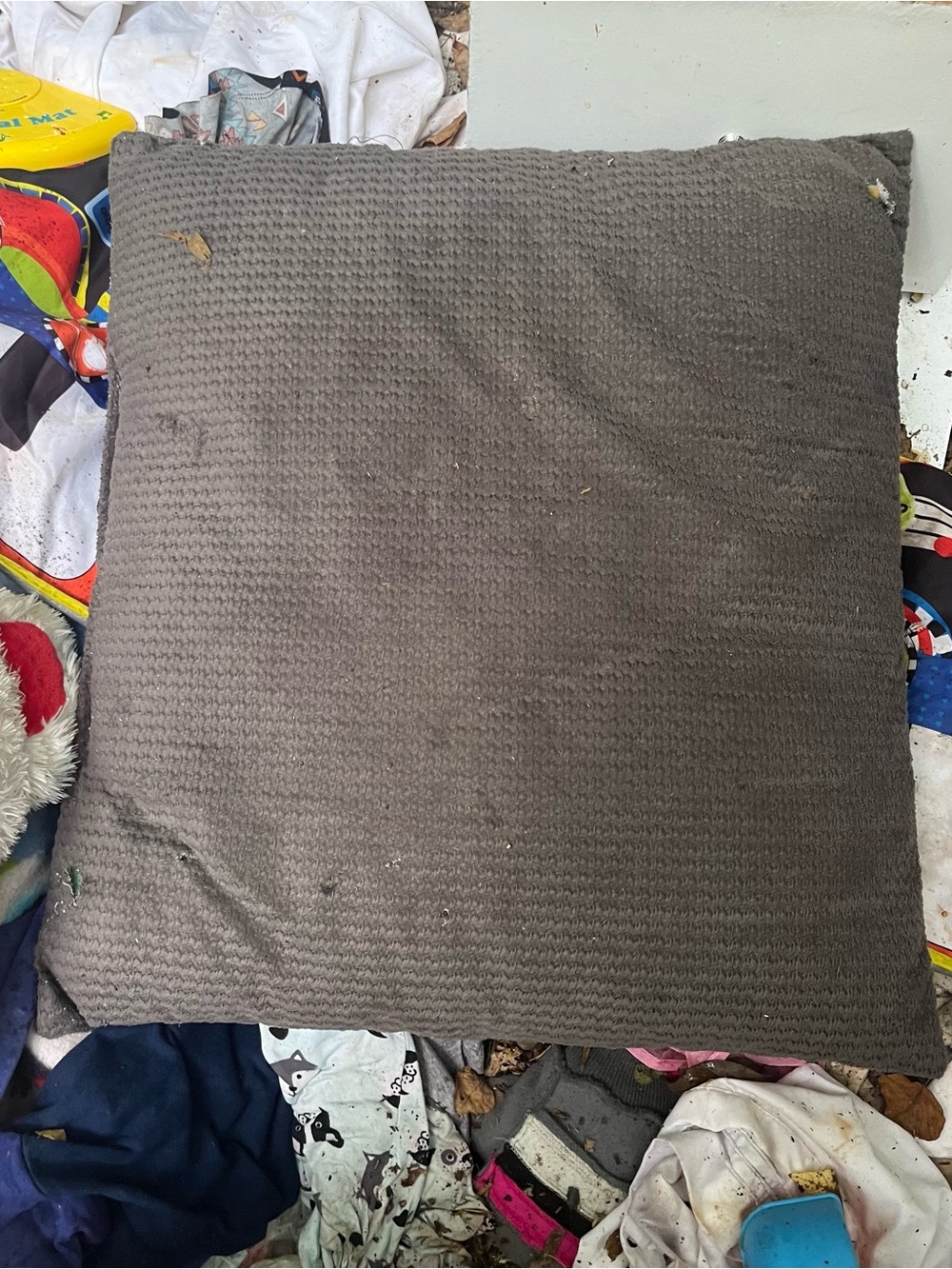 Grey pillow